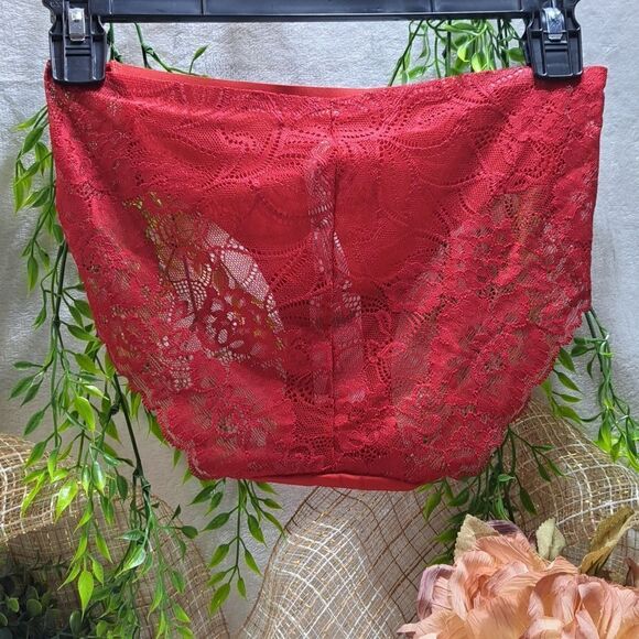 Soma Vanishing Edge Lace Back Hipster in Rapheal Red - Picture 8 of 9